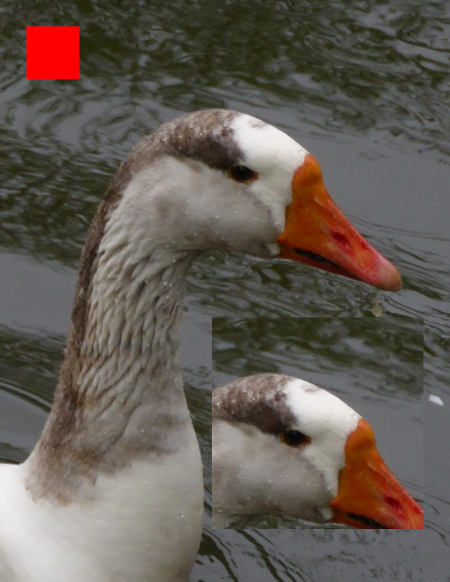 test image