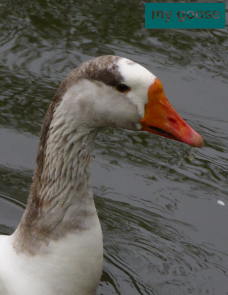 goose with logo image