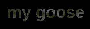 logo bg